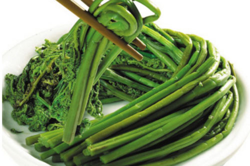 Tuổi thọ của bạn sẽ ngày càng tăng nếu như biết tác dụng của loài cây quen thuộc này