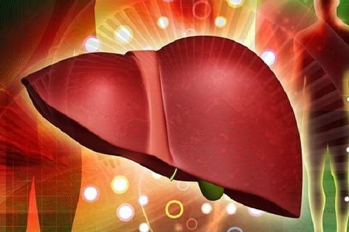 Chuyên gia khuyên tập 6 thói quen này để bảo vệ lá gan luôn khỏe mạnh