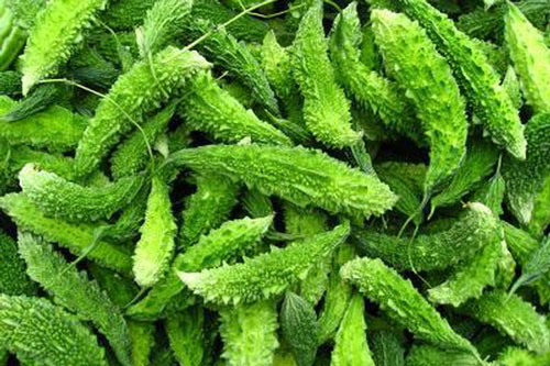 Tuyệt chiêu đơn giản làm giảm độ đắng của khổ qua để ai cũng ăn được