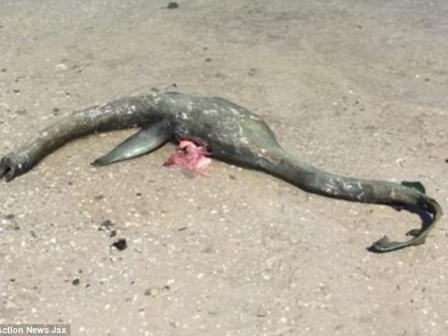 Thực hư cái chết của quái vật hồ Loch Ness