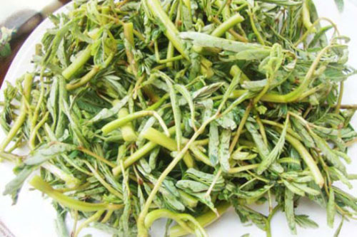 Bài thuốc chữa bệnh thần kỳ từ rau rút