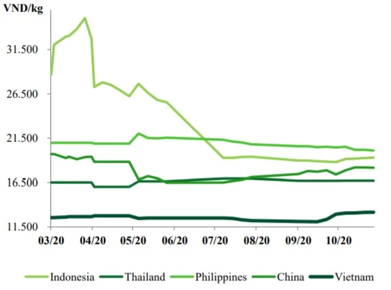 Giá đường nội địa tại Việt Nam so với các nước khác trong khu vực