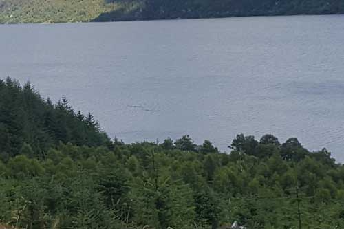 Xuất hiện 2 quái vật hồ Loch Ness bơi song song?