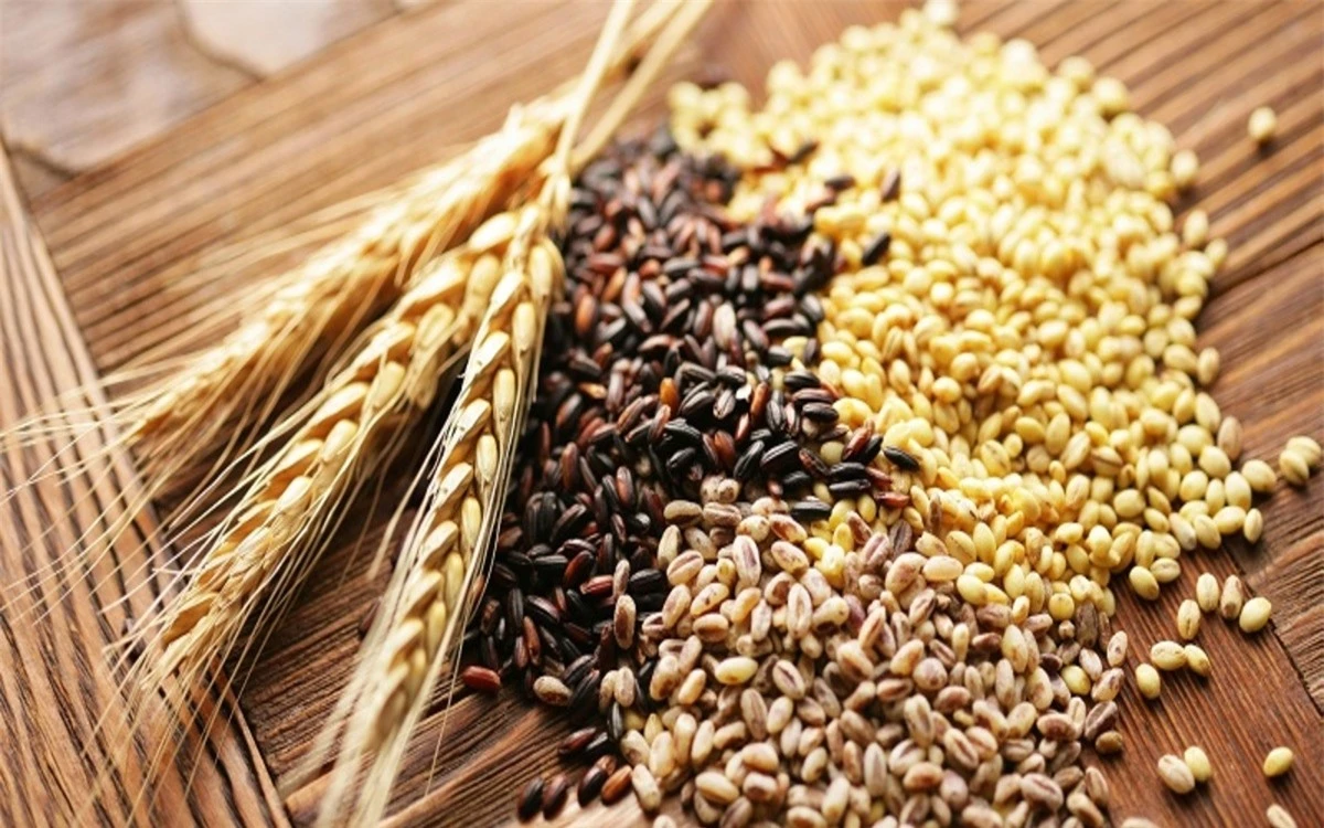Ngũ cốc nguyên hạt: Chọn ăn các loại ngũ cốc nguyên hạt thay vì những loại đã qua chế biến có thể giúp bạn cải thiện tình trạng bệnh liên quan đến đa khớp dạng thấp./.