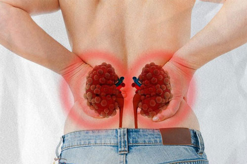 Thực phẩm là 'thần dược' cho thận, tăng sinh lực tốt nhất giúp bạn sống khoẻ thọ lâu