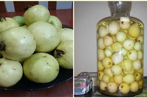 Công dụng thần kỳ của rượu ổi đối với sức khỏe con người