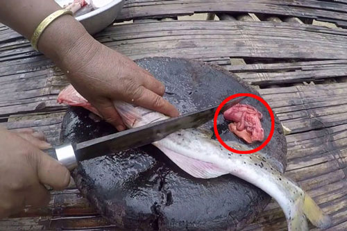 4 bộ phận của cá tuyệt đối không nên ăn để tránh bị ngộ độc