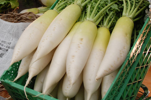 Tuyệt đối không kết hợp với củ cải với những thực phẩm này kẻo rước bệnh vào thân