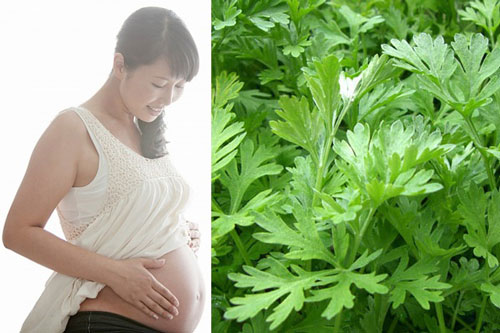 Thực phẩm mẹ bầu ăn vào dễ gây sảy thai tức khắc