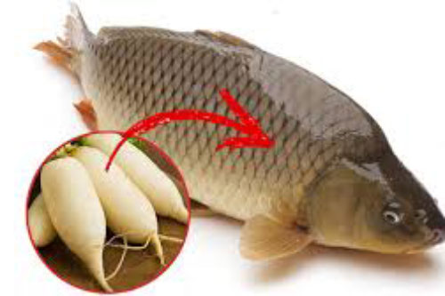 Tuyệt chiêu đánh vảy cá siêu nhanh vô cùng đơn giản