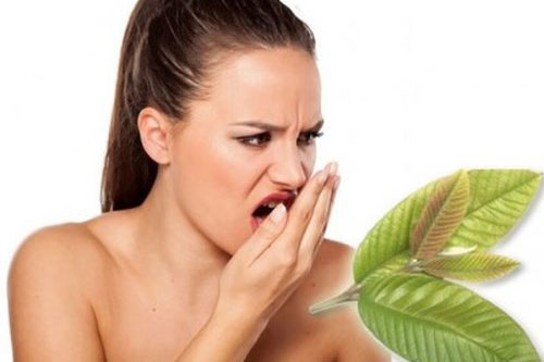 Hết hôi miệng, sâu răng trong vòng 'một nốt nhạc' nhờ nguyên liệu cực rẻ, cực dễ kiếm này