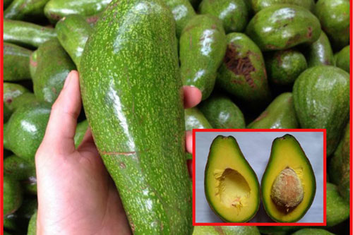 Tuyệt chiêu chọn bơ sáp chuẩn ngon, nhiều thịt