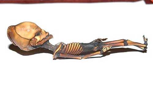 Giải mã bí ẩn "bộ xương người ngoài hành tinh"