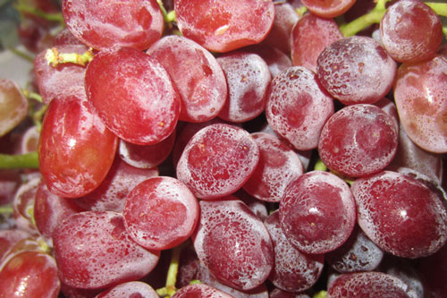 Mẹo rửa sạch và loại bỏ mọi hóa chất trong nho vô cùng đơn giản