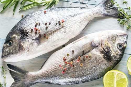 Tuyệt đối không chọn mua cá nếu có các dấu hiệu này