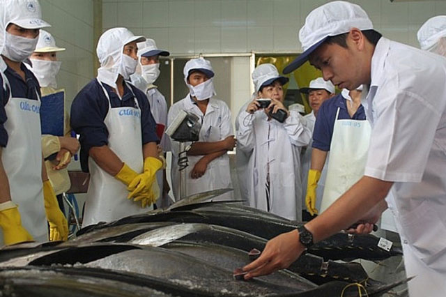 Nhiều mặt hàng xuất khẩu tăng mạnh vào Israel trong 2 tháng đầu năm