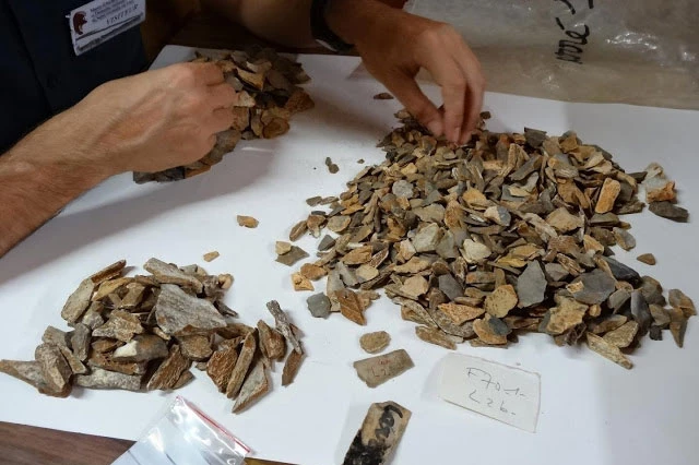 Các mảnh xương được tìm thấy. Các mảnh xương được tìm thấy.