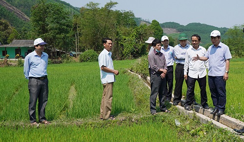 Thừa Thiên Huế: Kích hoạt các trạm bơm dã chiến để chống hạn, “cứu” lúa