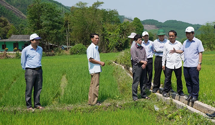 Phó Chủ tịch UBND tỉnh Thừa Thiên Huế Nguyễn Văn Phương kiểm tra công tác chống hạn tại huyện Nam Đông.