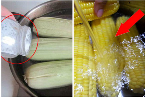Luộc ngô cứ cho thêm một nhúm này vào là hạt mềm căng bóng, ngọt lừ