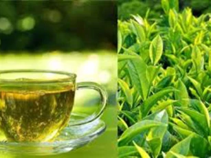 Những sai lầm tuyệt đối không được mắc phải khi uống trà xanh