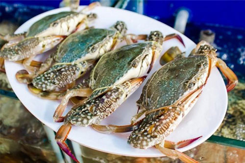 Cách chọn ghẹ tươi ngon, nhiều thịt