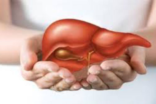 Cách giải độc gan tại nhà vô cùng đơn giản