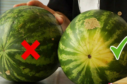 Điểm "vàng" trên quả dưa hấu "nhắc" bạn: Đâu mới là quả mọng nước, ngon ngọt, ruột đỏ tươi không chất bảo quản?