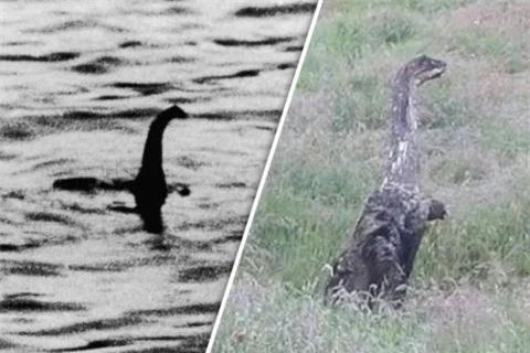 Quai vat ho Loch Ness len bo?