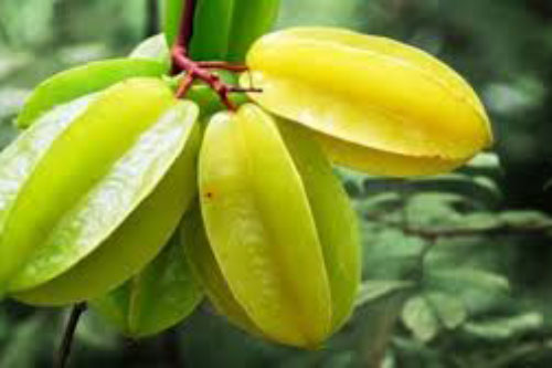 Lợi ích tuyệt vời, dồi dào dinh dưỡng cho cơ thể lại đẹp da từ quả khế mà không ai ngờ tới