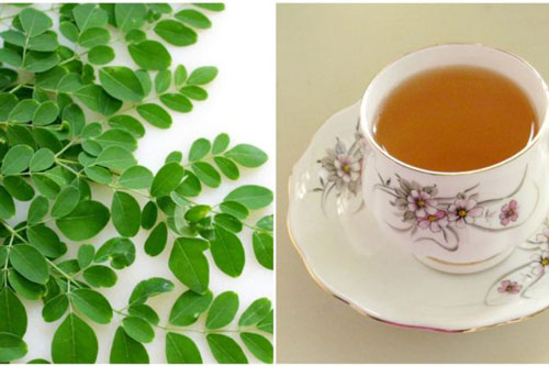 Uống trà chùm ngây mỗi ngày tốt như "nhân sâm", kiểm soát huyết áp và ngừa bệnh tim mạch hiệu quả