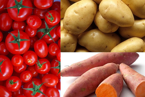 Ăn cà chua với những thứ này là tự 'rước' bệnh vào người lúc nào không hay biết