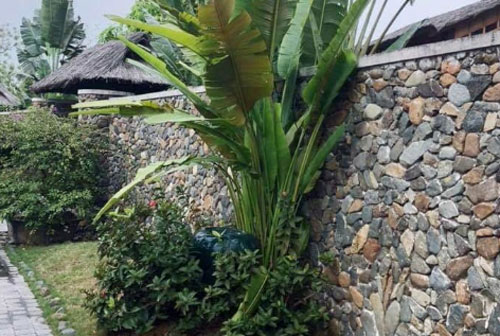 Bị từ mặt 15 năm, giờ bố bệnh nặng, có nên về chăm?