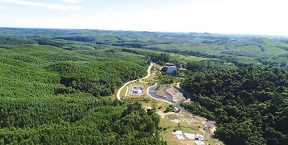 Quảng Bình:Trồng rừng thay thế để đảm bảo độ che phủ rừng