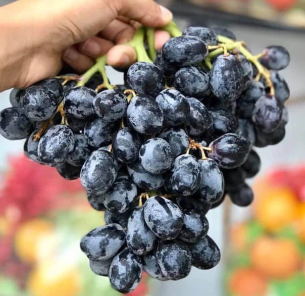 Điểm danh 8 loại trái cây tốt cho bệnh nhân xơ gan