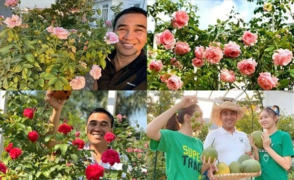 Ốc Thanh Vân, Khánh Thi và sao Việt sở hữu vườn hồng đắt giá, đủ sắc màu - Ảnh 7.