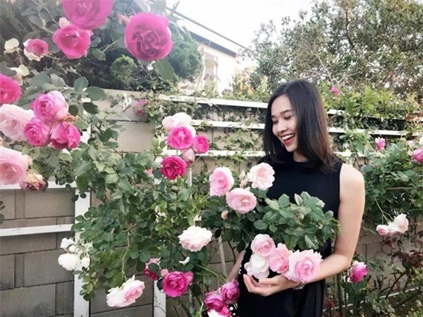 Ốc Thanh Vân, Khánh Thi và sao Việt sở hữu vườn hồng đắt giá, đủ sắc màu - Ảnh 9.