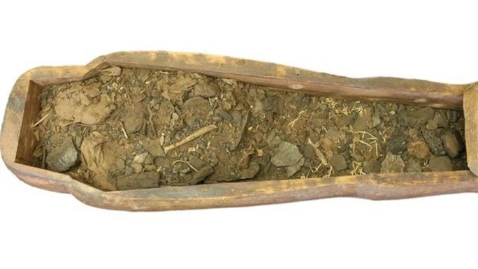 Mở quan tài rỗng trong bảo tàng, phát hiện xác ướp 2.600 tuổi - Ảnh 3.