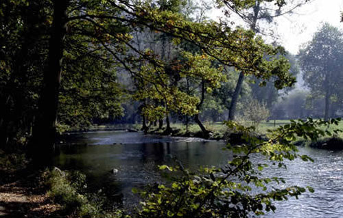 "Tan chảy" trước vẻ đẹp mơ màng của Normandie