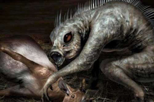 Bí ẩn về 'quái vật' hút cạn máu 50 con vật mỗi đêm mà không để lại bất kỳ dấu vết nào