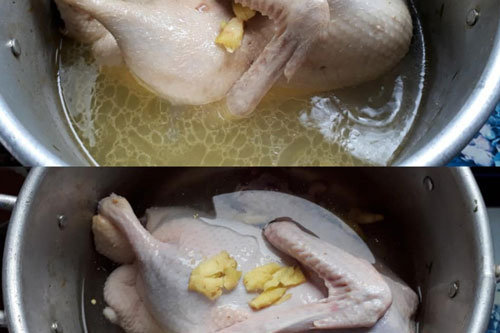 Bí quyết luộc ngan không bị hôi tanh đảm bảo ngon hơn ngoài hàng