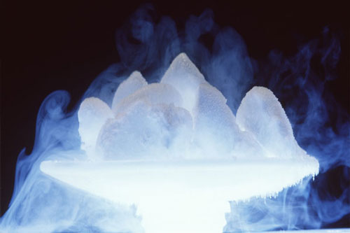 Không nên đặt những vật này vào ngăn đá tủ lạnh, hậu quả có thể khiến bạn hối hận