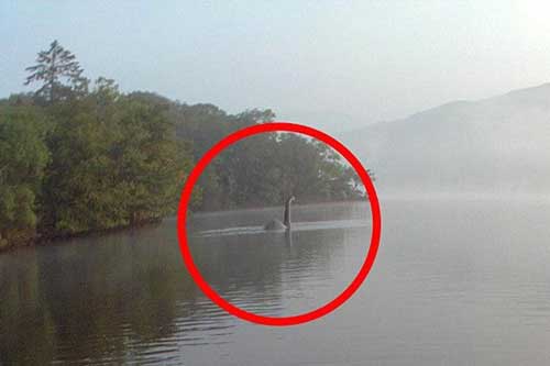 Thực hư bức ảnh chụp "quái vật" hồ Loch Ness bơi tới Anh
