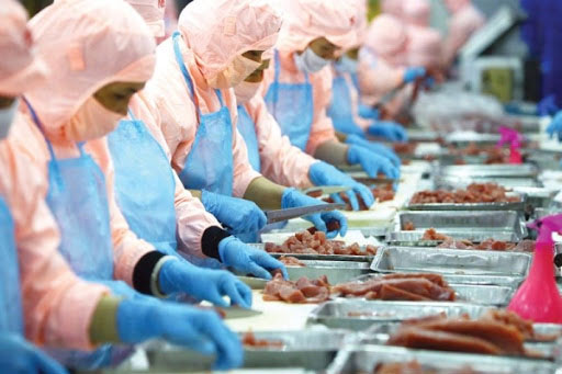 Phát triển thủy sản thành ngành kinh tế quan trọng của quốc gia