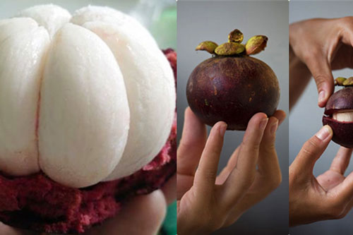 Mua măng cụt cứ ấn nhẹ vào bộ phận này sẽ chọn được quả ‘ngon nhất chợ’, múi siêu dày siêu ngọt