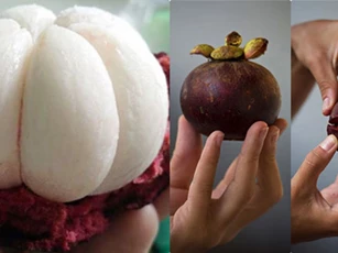 Mua măng cụt cứ ấn nhẹ vào bộ phận này sẽ chọn được quả ‘ngon nhất chợ’, múi siêu dày siêu ngọt