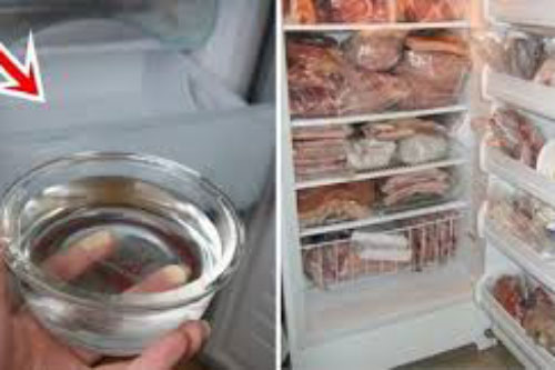 Mẹo cực hay giúp tủ lạnh tiết kiệm điện vừa bảo quản thực phẩm tươi