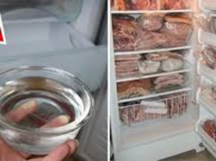 Mẹo cực hay giúp tủ lạnh tiết kiệm điện vừa bảo quản thực phẩm tươi