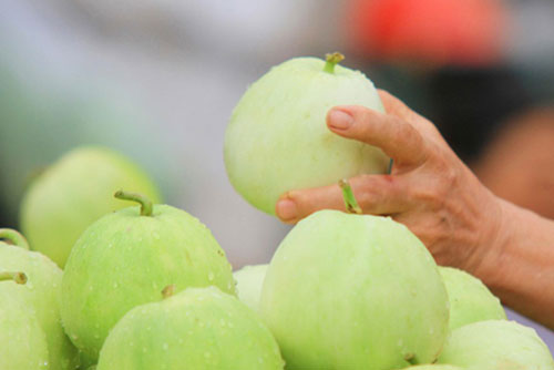 Bí quyết mua dưa lê ngon ngọt không bị đắng