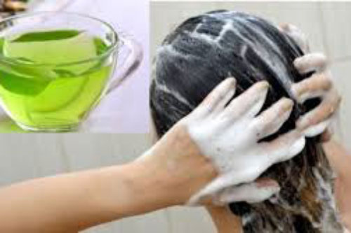 Tóc mọc ầm ầm như 'nấm sau mưa' nhờ thường xuyên gội đầu với thứ này